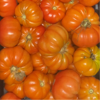 Tomate (1lb)