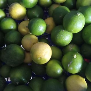 Limones tahiti (7 unidades)
