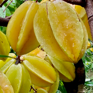 Carambola (1 lb)