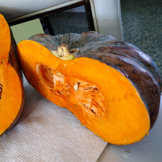 Semillas de calabaza (10 semillas)