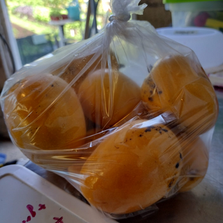Mango (10 frutas)