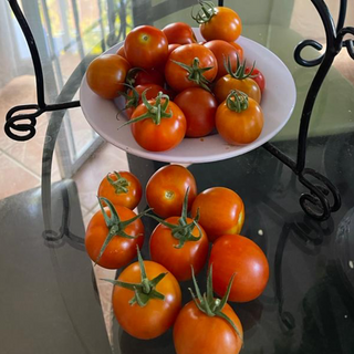Tomates pequeños (1/2 lb)