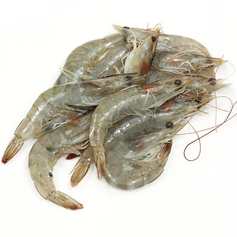 Gambas Main Image