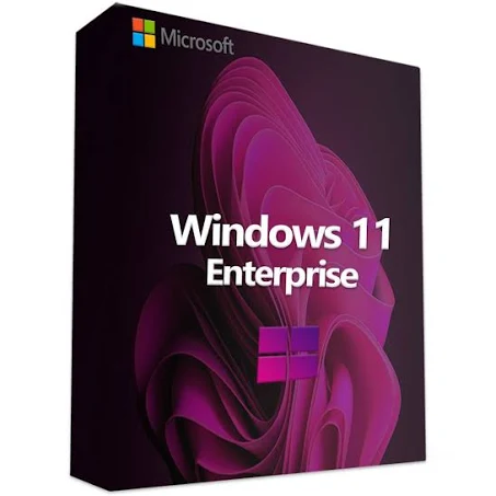 Windows 11 Entreprise