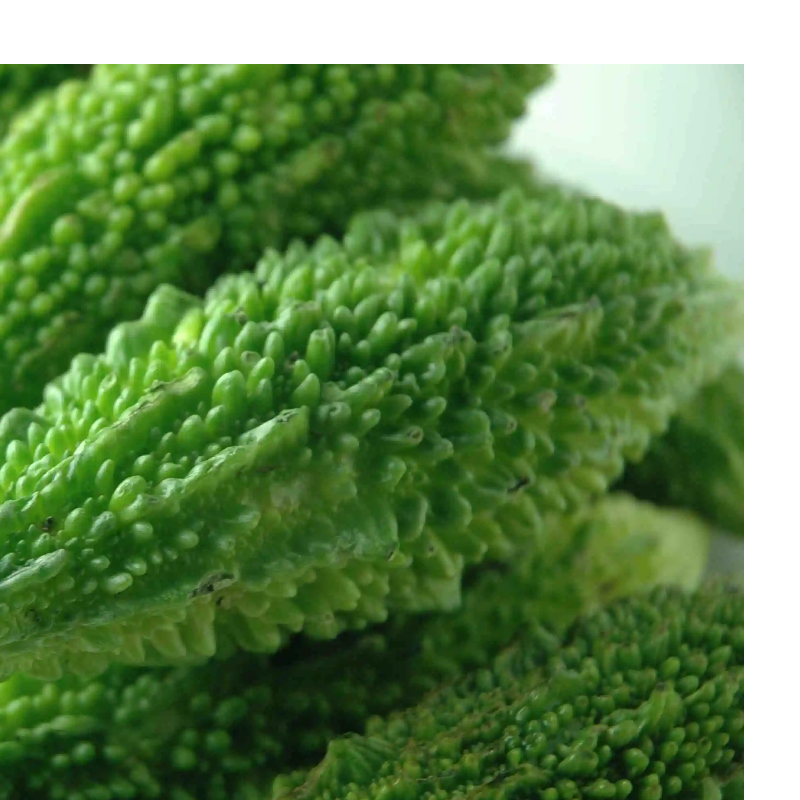 BITTER GOURD (KARELA) Main Image