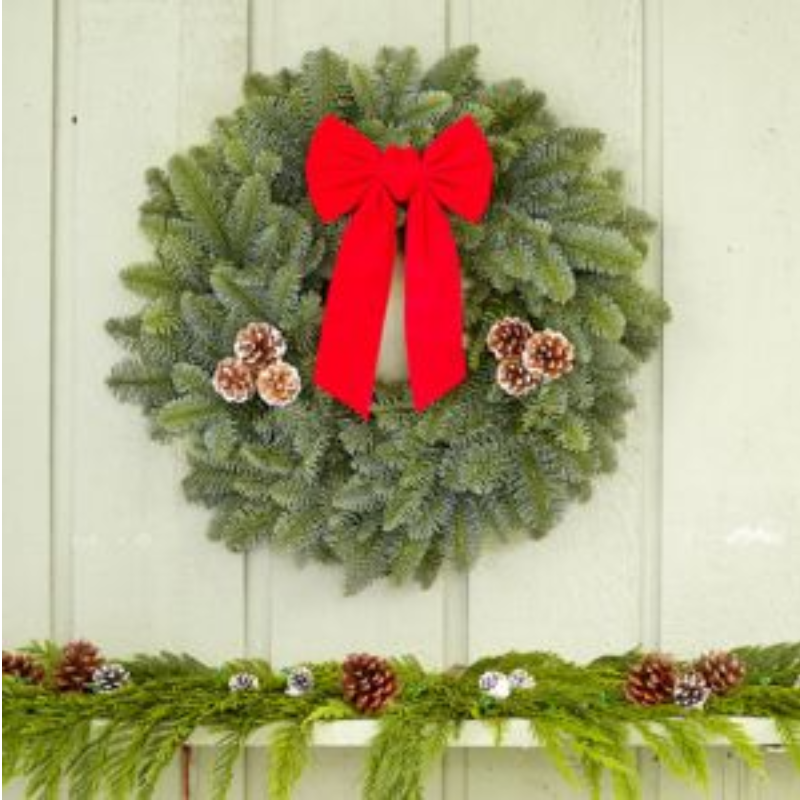 22" Noble Fir Wreath (W2) Main Image