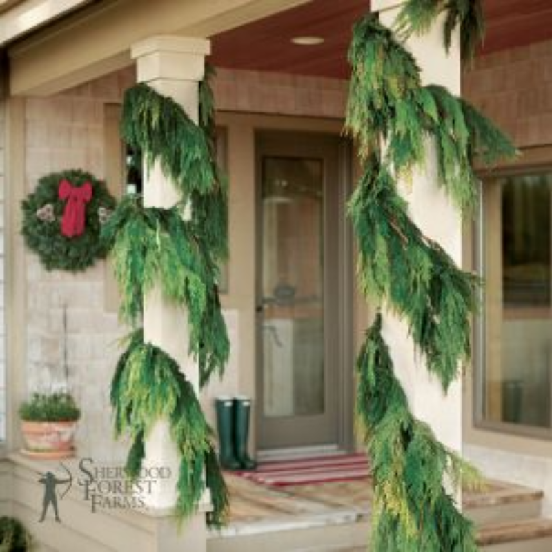 Western Cedar Garlands (G3M)