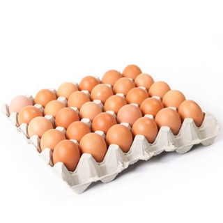 Chicken Eggs