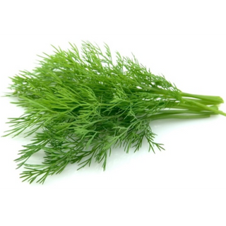 Dill