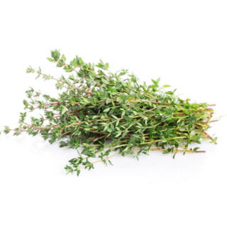 Thyme