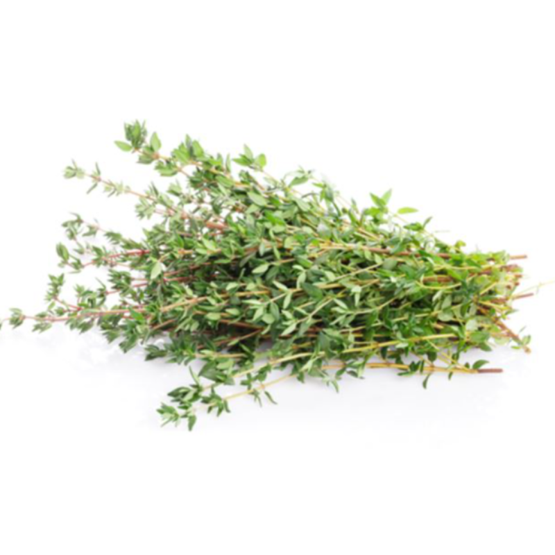 Thyme Main Image