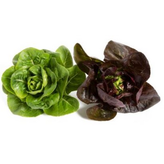 Lettuce Little Gems