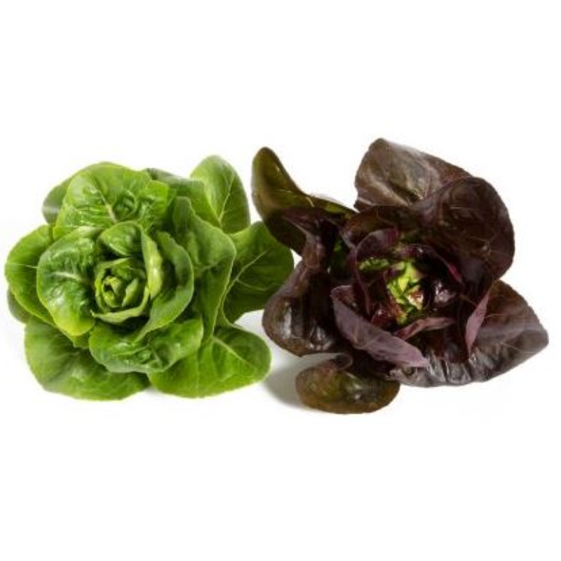 Lettuce Little Gems Main Image