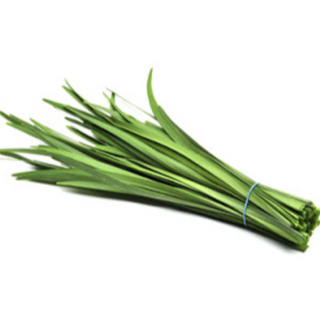 Garlic Chives