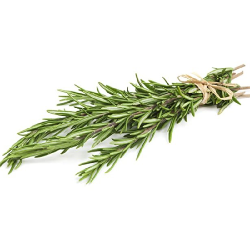 Rosemary Main Image