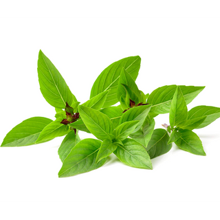 Basil Thai