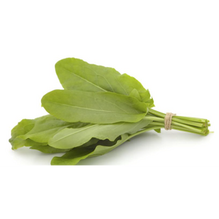 Sorrel