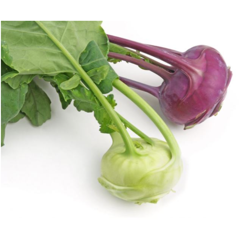 Kohlrabi  Main Image