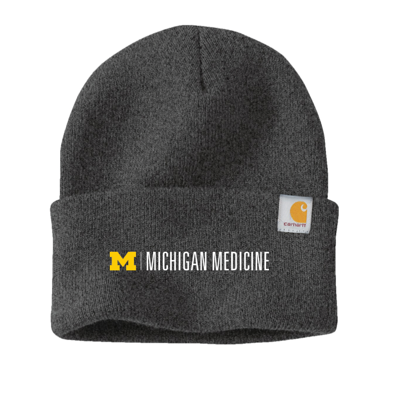 [NEW] Carhartt - Watch Cap 2.0