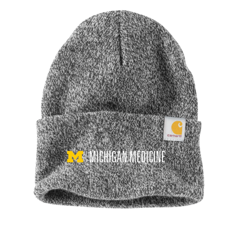 [NEW] Carhartt - Watch Cap 2.0