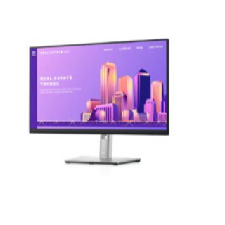 Display: Dell Pro P Series monitor