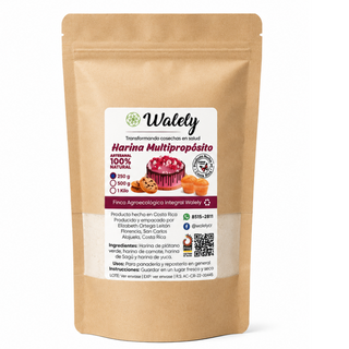 Harina Multipropósito Libre de Gluten 250g (Multipurpose Gluten Free Flour)