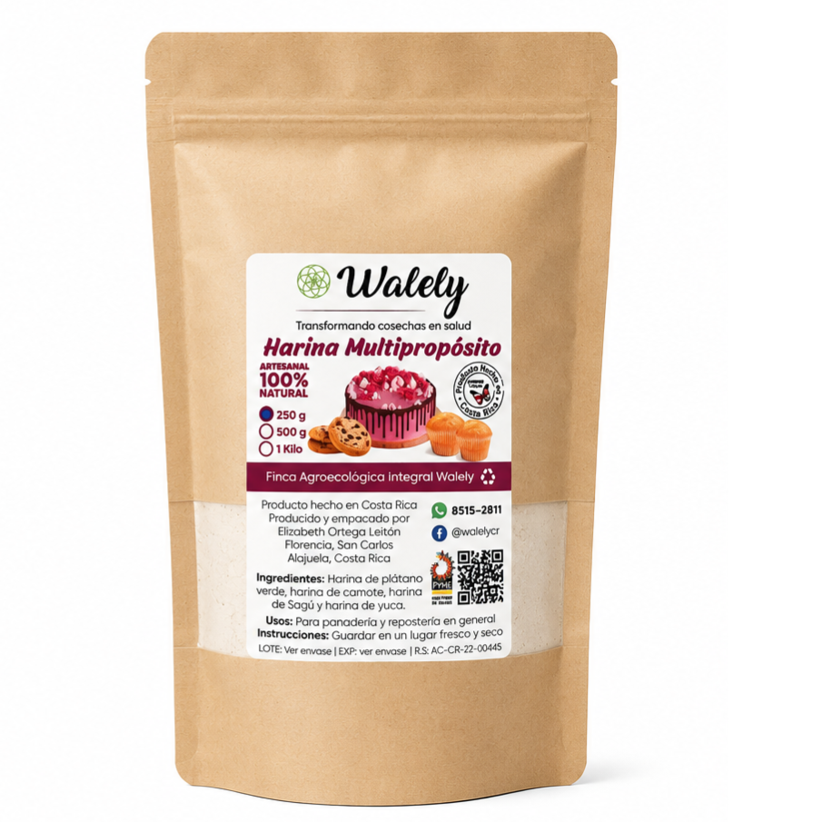 Harina Multipropósito Libre de Gluten 250g (Multipurpose Gluten Free Flour)