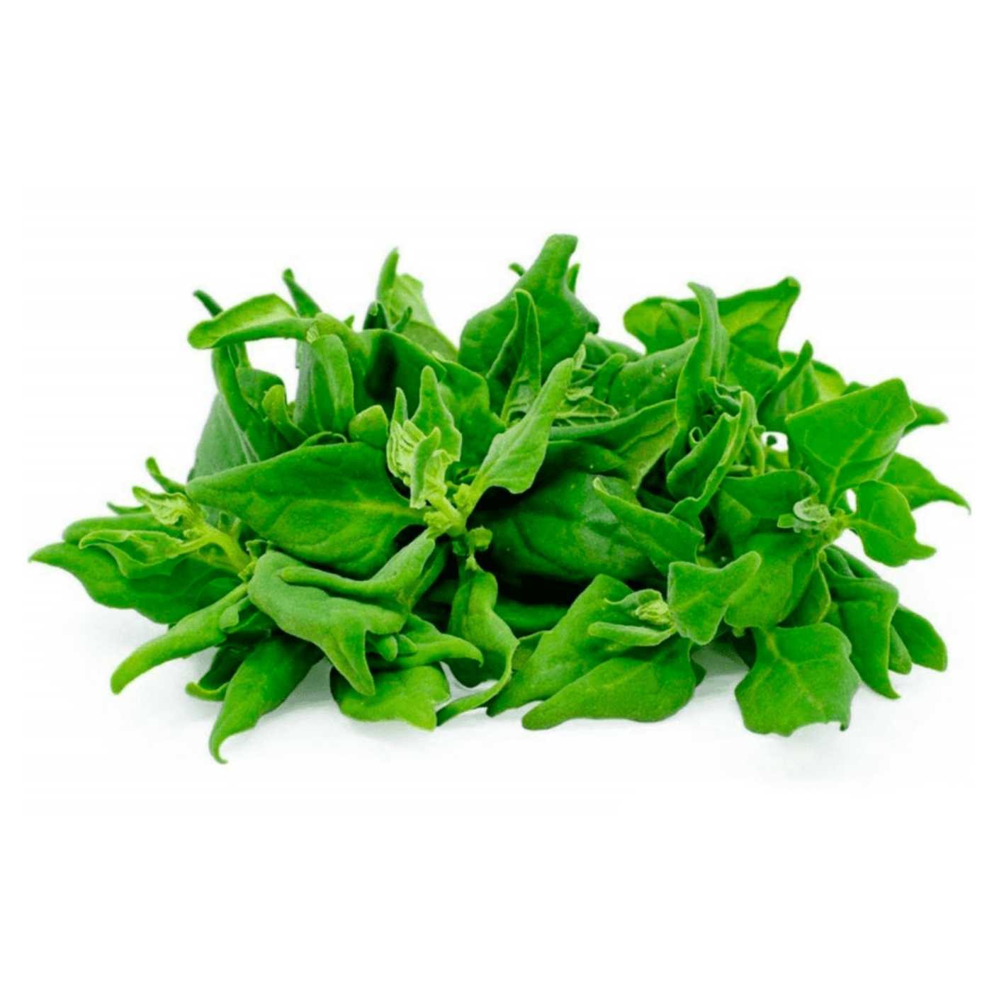 Espinaca Criolla Orgánica (Native Spinach)