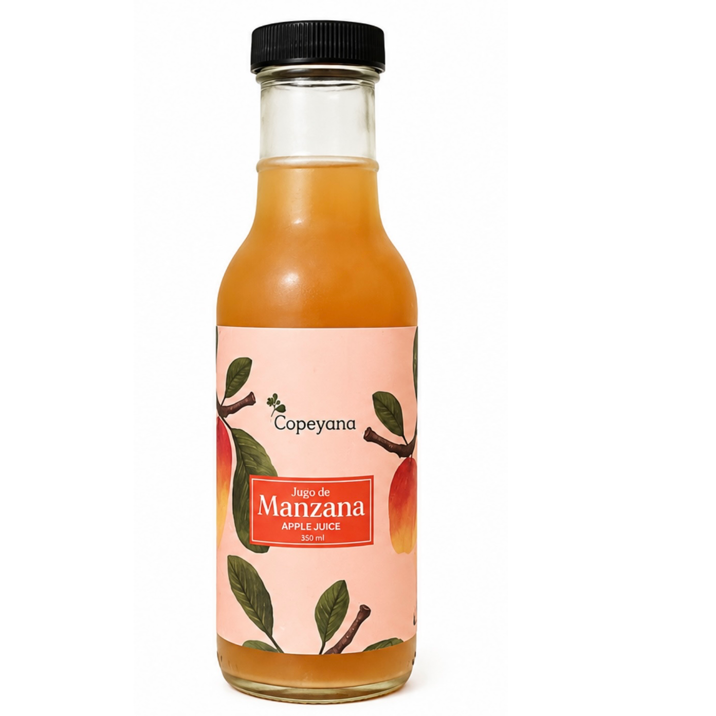 Jugo de Manzana 350ml (Apple Juice)