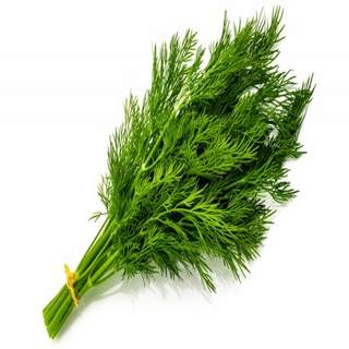 Eneldo Orgánico (Dill)