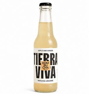 Kombucha Manzana Jengibre 355ml (Apple Ginger)