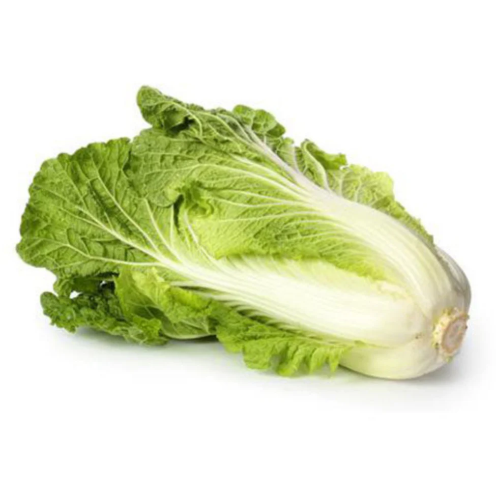 Mostaza China Orgánica (Chinese Mustard) 