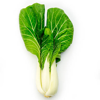 Pok Choi Orgánico