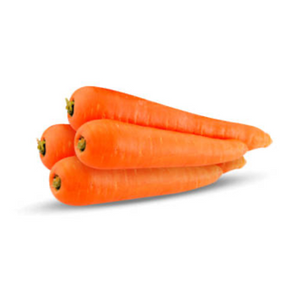 Zanahoria Orgánica (Carrot)