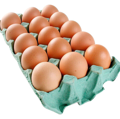 15 Huevos Orgánicos de Pastoreo (15 Eggs)