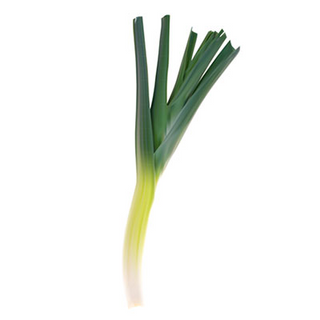 Puerro Orgánico (Leek)
