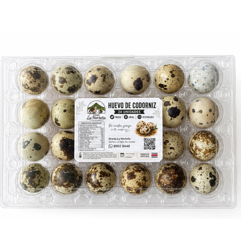 24 Huevos de Codorniz (Quail Eggs)