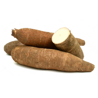 Yuca Orgánica (Cassava Root)