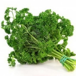 Perejil Orgánico (Parsley)