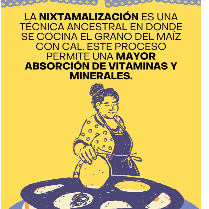 Harina de Maíz Azul Nixtamalizada 1kg (Blue Corn Flour)