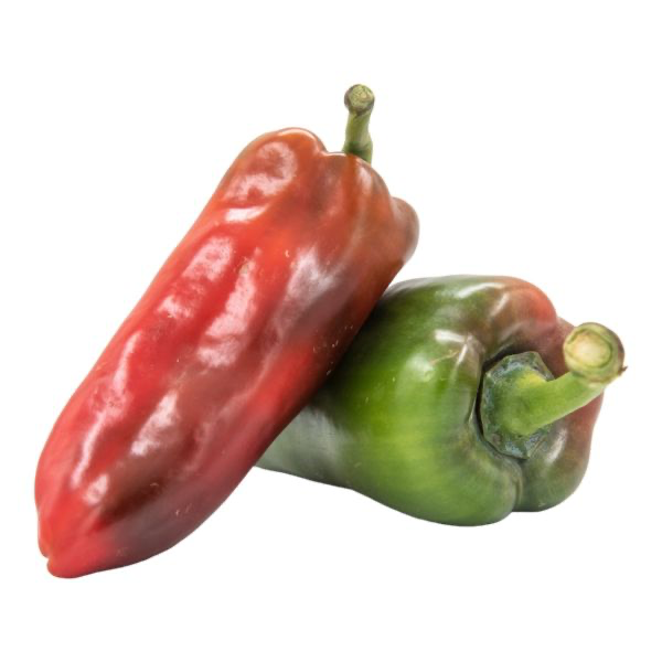 Chile Dulce Orgánico (Bell Pepper)