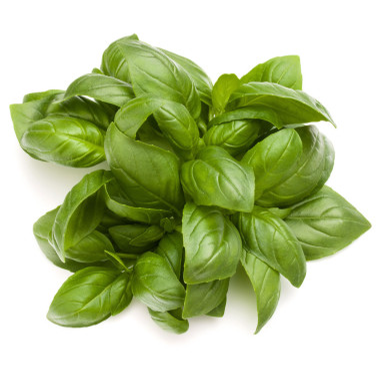 Albahaca Orgánica  (Basil bundle)