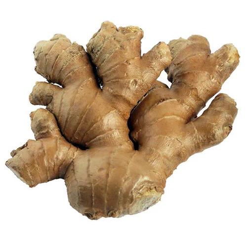 Gengibre Orgánico (Ginger)