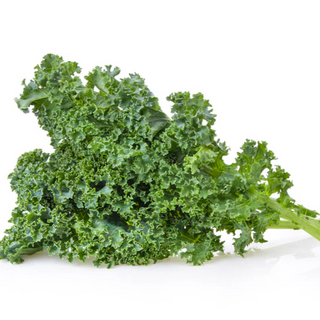Kale Rizado Orgánico (Curly Kale)