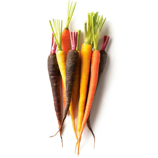 Zanahoria Colores Orgánica (Rainbow Carrot)