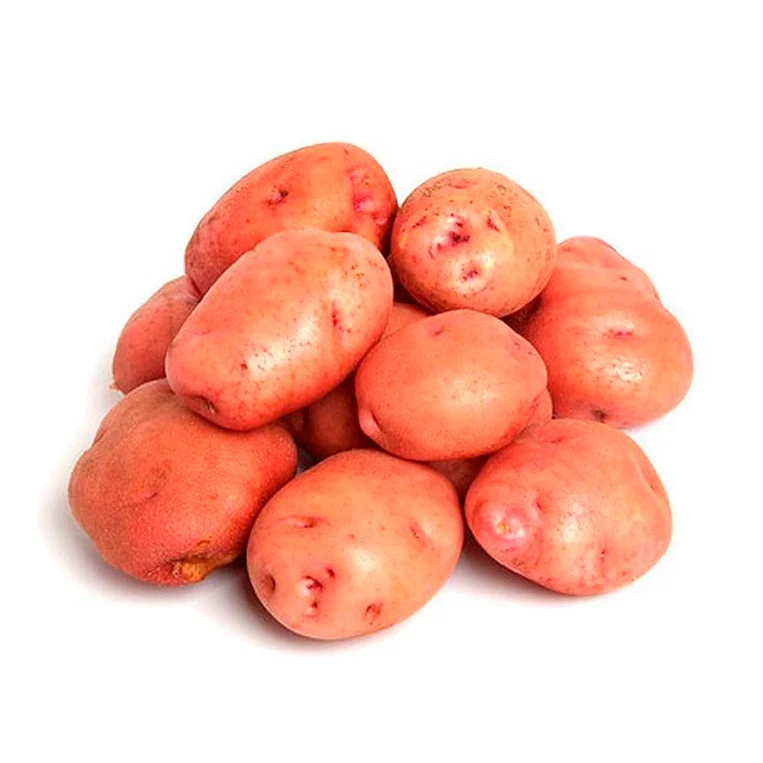 Papa Rosada Orgánica (Red Potato)