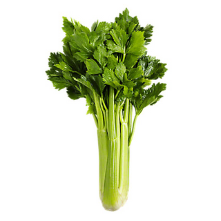 Apio Orgánico (Celery)