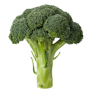 Brocoli Orgánico
