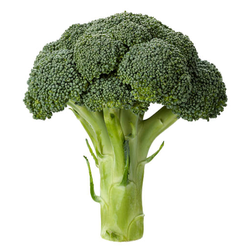 Brocoli Orgánico