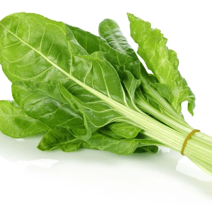 Acelga Verde Orgánica (Green Chard)